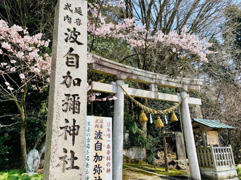 波自加彌神社の社号標と鳥居