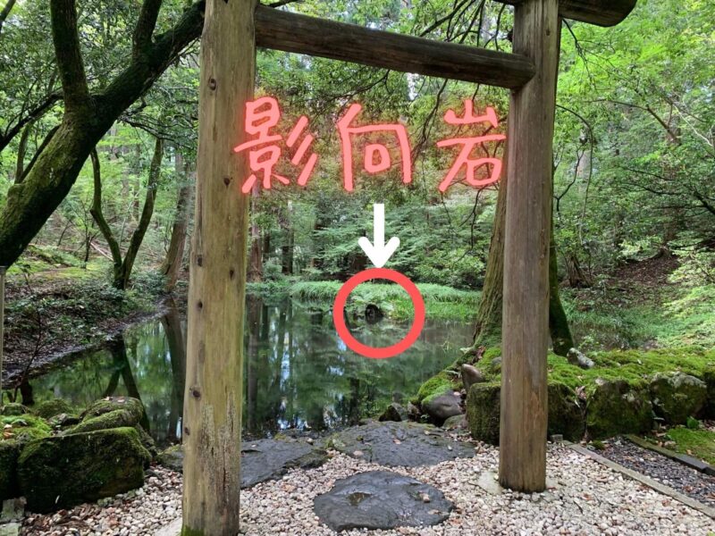 平泉寺白山神社の御手洗池の説明