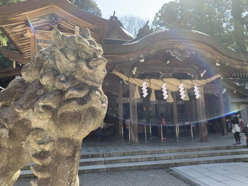 白山比咩神社の狛犬