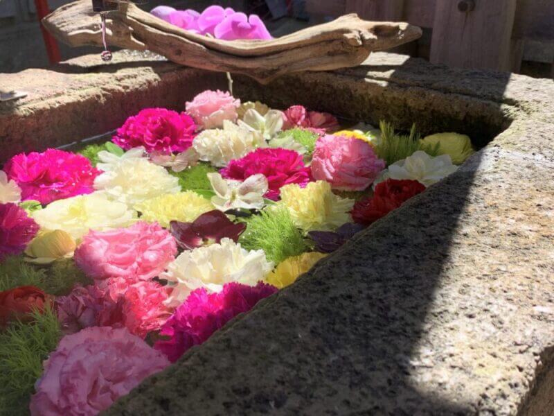 浅野川神社の花手水