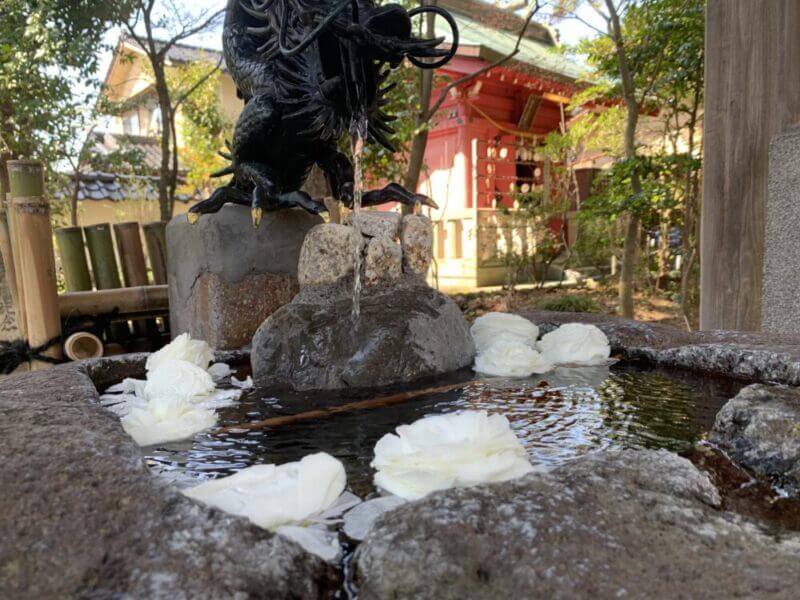 浅野神社の花手水