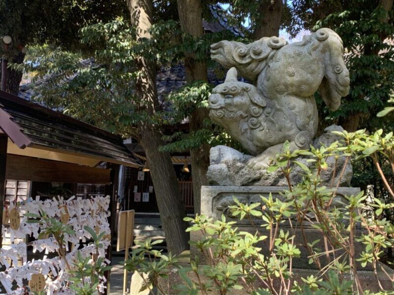 浅野神社の逆さ狛犬