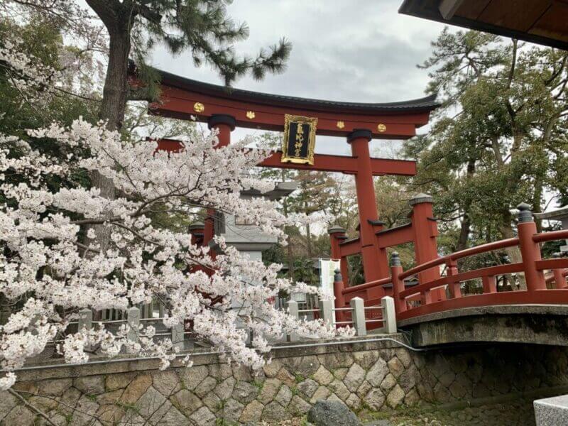 気比神宮の鳥居