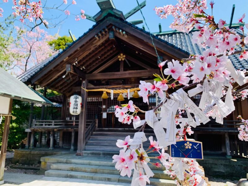 宇多須神社の拝殿