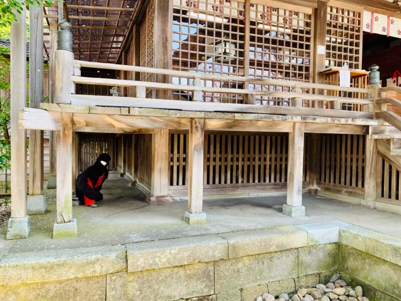 宇多須神社の忍者