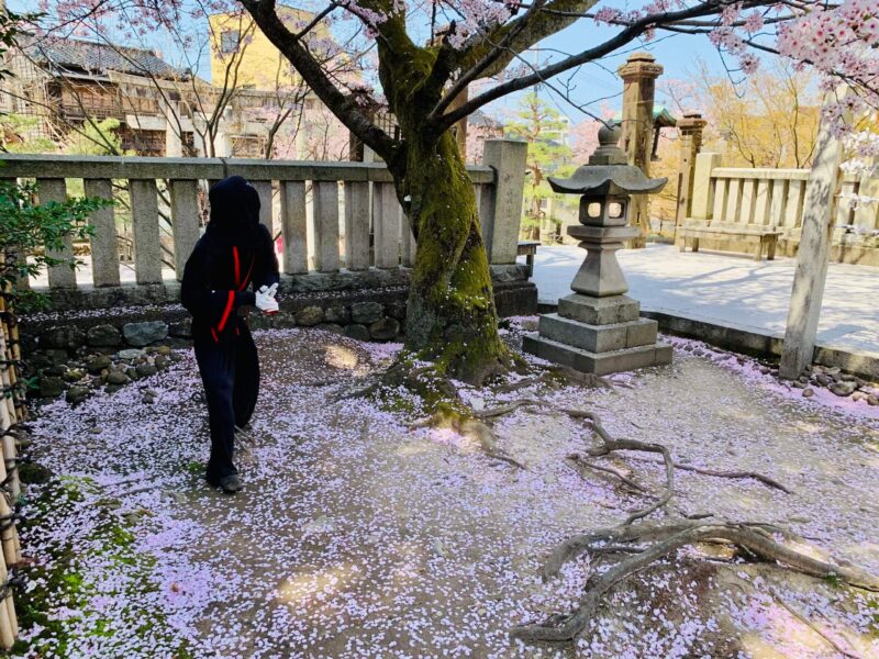 宇多須神社の忍者