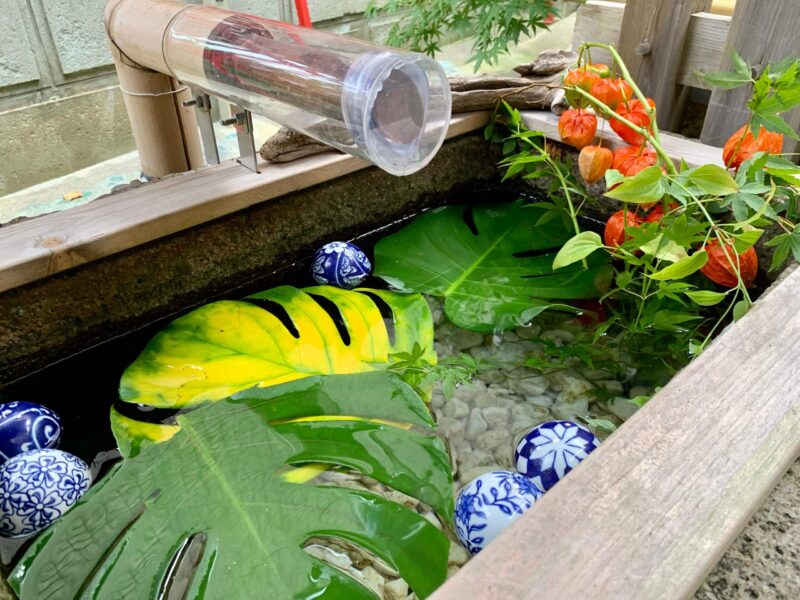 浅野川神社の花手水