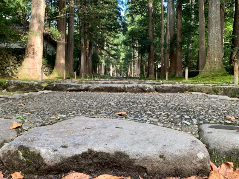平泉寺白山神社の参道と杉林