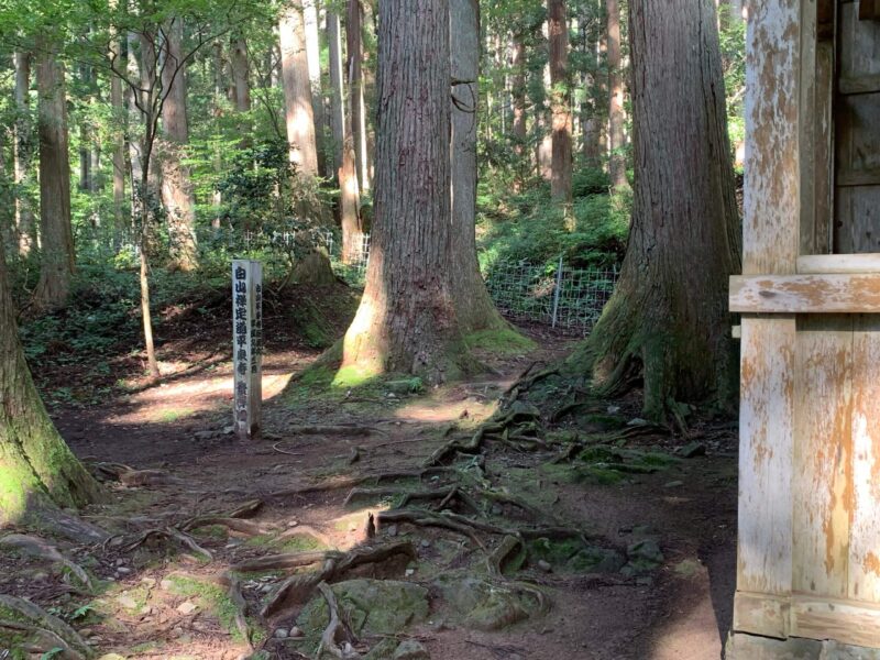 平泉寺白山神社から白山禅定道入り口