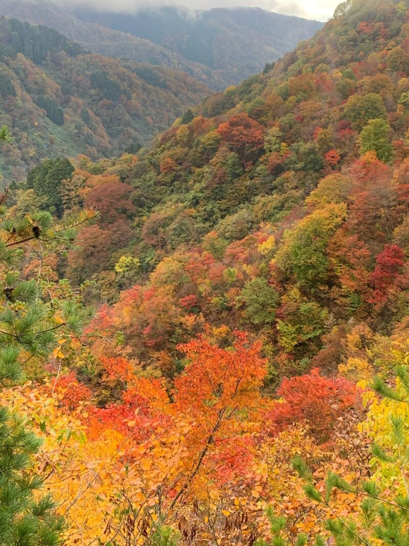 大恐山からの紅葉