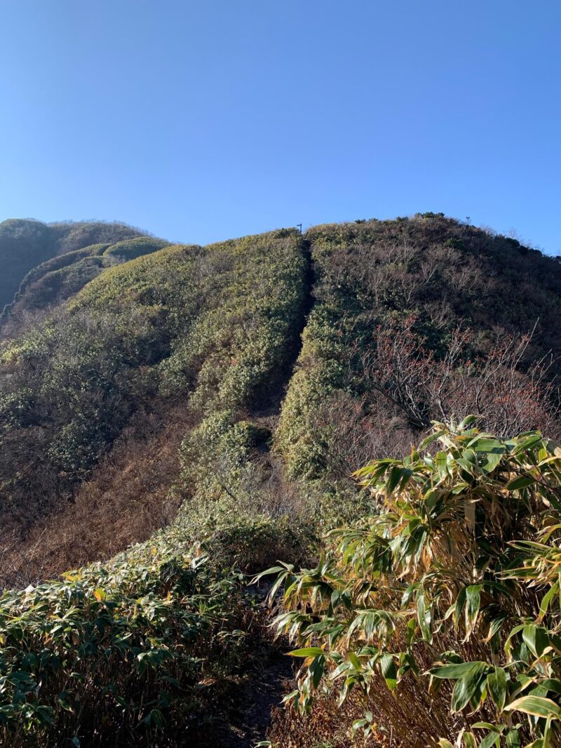 荒島岳への稜線