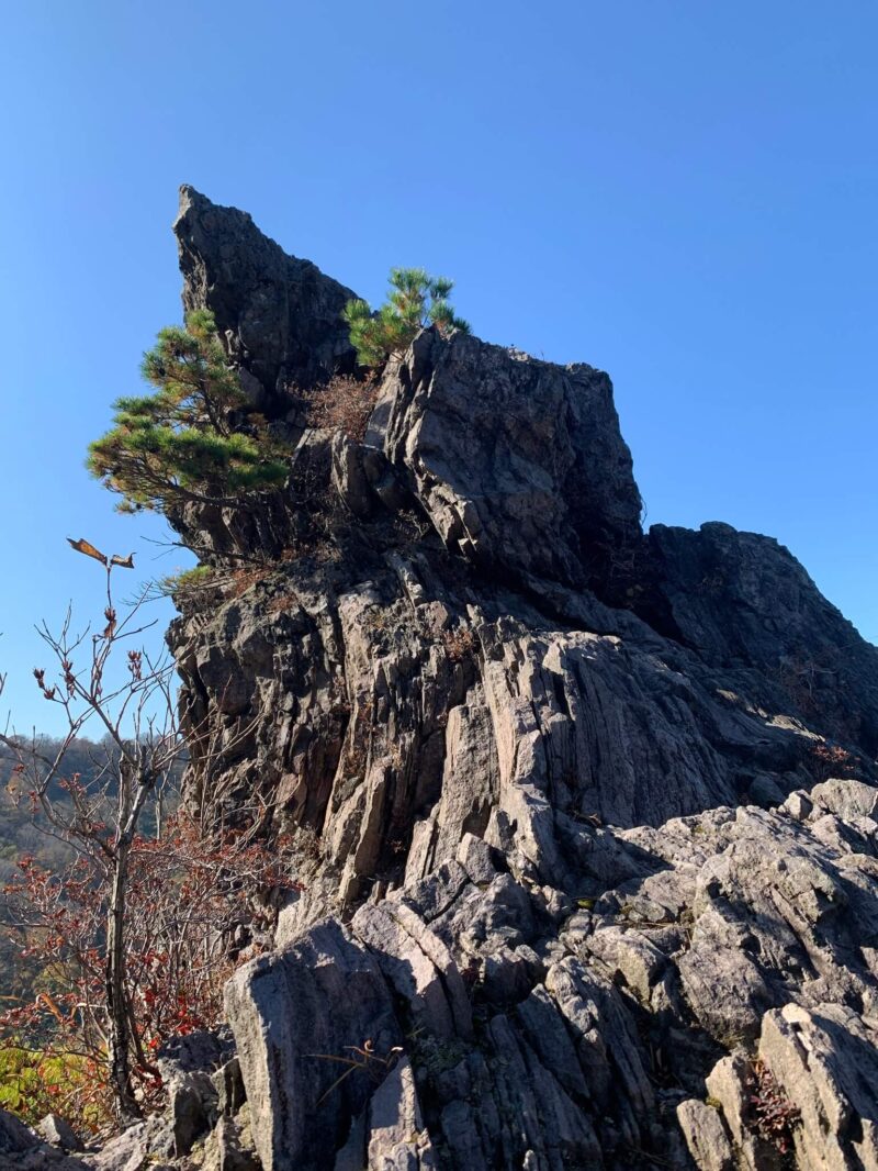 医王山のトンビ岩