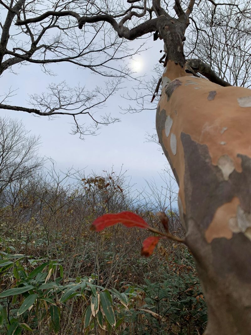 獅子吼から見た空